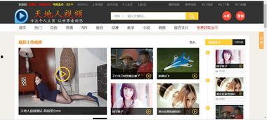 视频播放源,探索幕后技术与应用