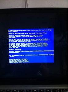 电脑一开视频就死机,揭秘视频播放与系统崩溃之谜