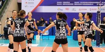 新浪体育女排直播视频