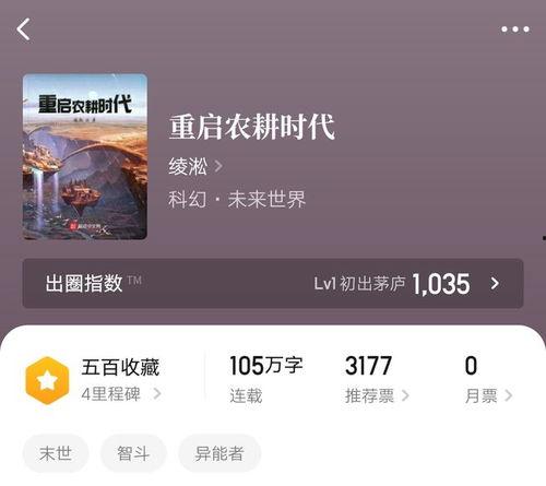 视频图片小说,从视频、图片到小说的奇幻旅程
