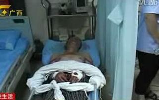 真实砍人视频,还原真实砍人事件瞬间